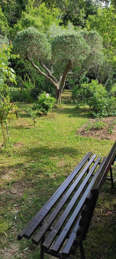 Apartma Marinka Piran Kültér fotó